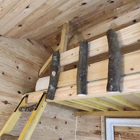 民宿 Maisonnette Perchee Au Coeur De La Nature Allonnes (Sarthe)