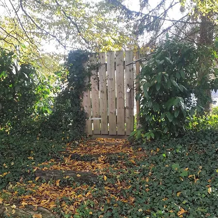 Maisonnette Perchee Au Coeur De La Nature