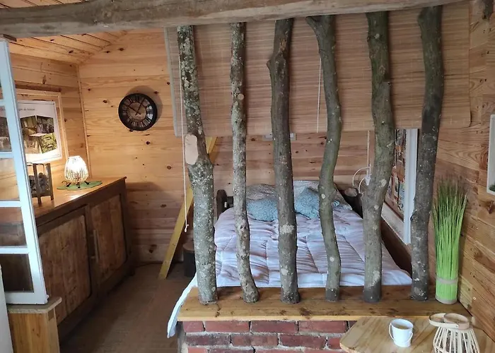 Maisonnette Perchee Au Coeur De La Nature Allonnes (Sarthe)