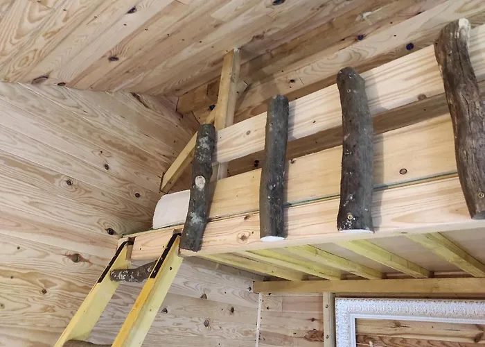 Проживание в семье Maisonnette Perchee Au Coeur De La Nature Allonnes (Sarthe)